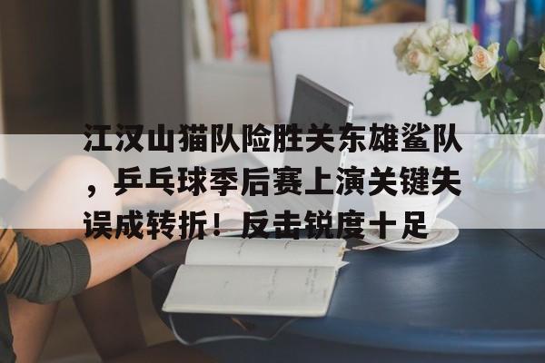 江汉山猫队险胜关东雄鲨队，乒乓球季后赛上演关键失误成转折！反击锐度十足的简单介绍-爱游戏官网